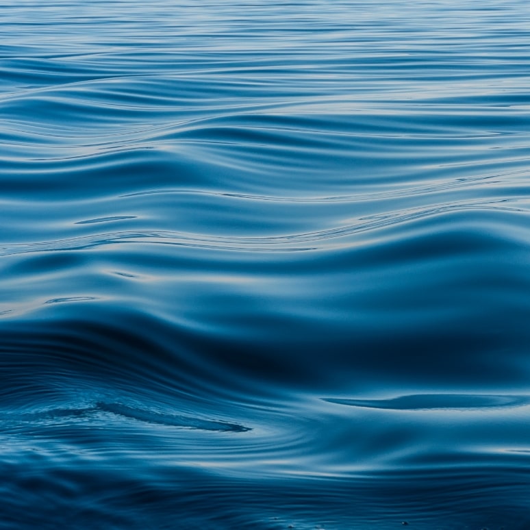 The image is a close up of waves in a body of water.