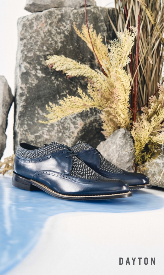 Men's Classic Shoes category. Image features the Dayton in navy.