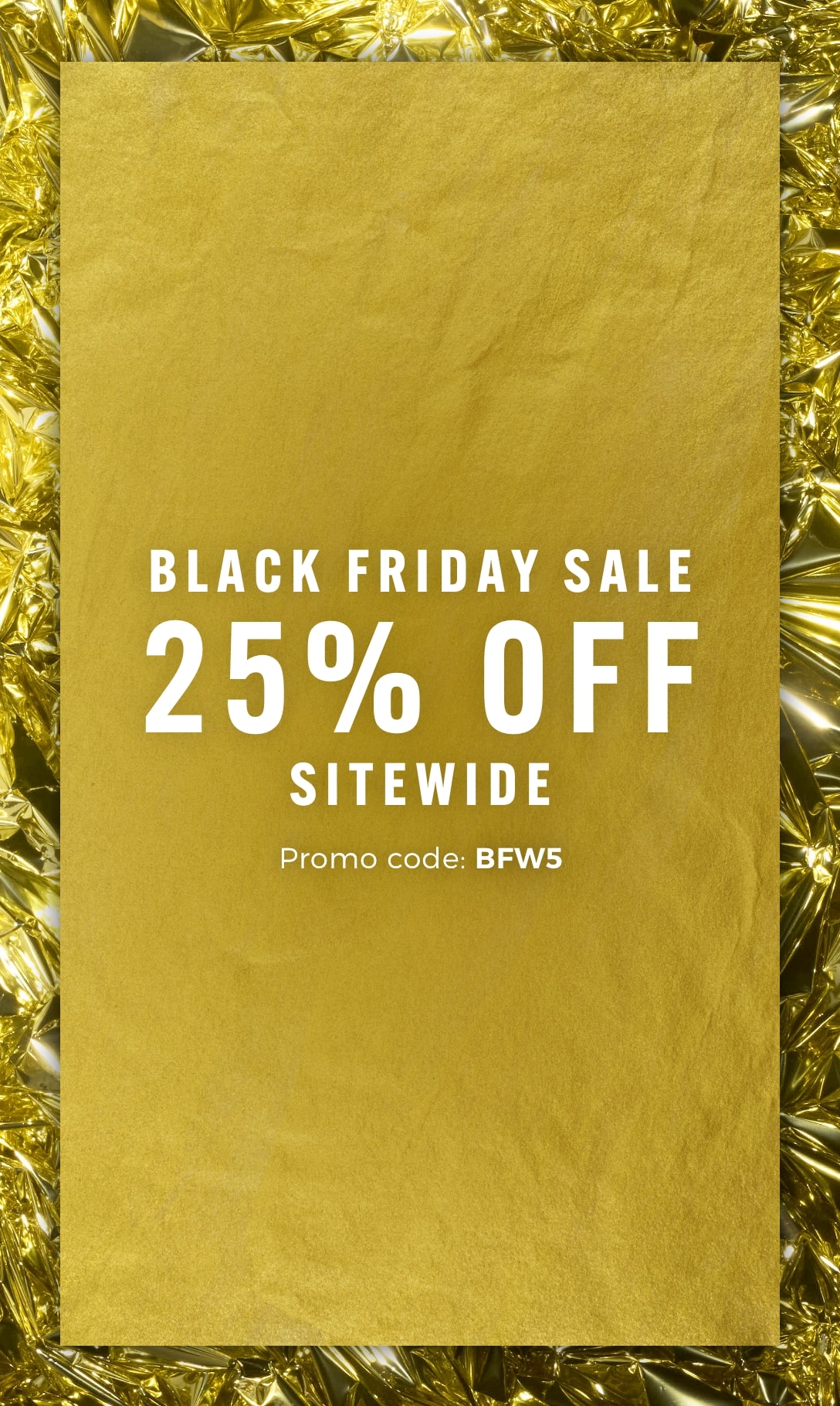 Our Black Friday Promotion.